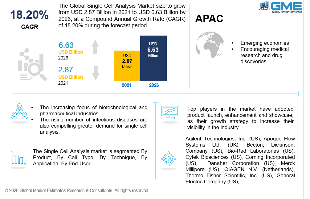 global single cell analysis market